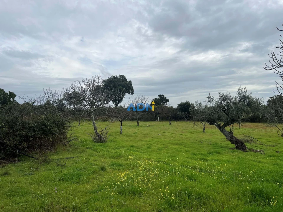 Quinta para Venda em Castelo Branco Foto 19