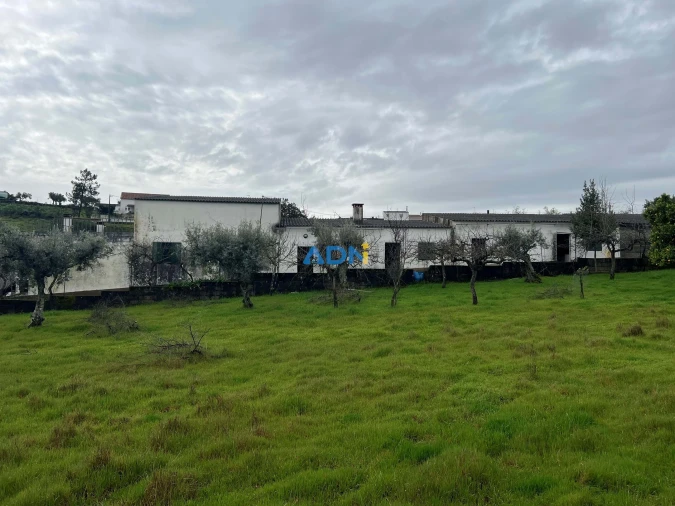 Quinta para Venda em Castelo Branco Foto 1