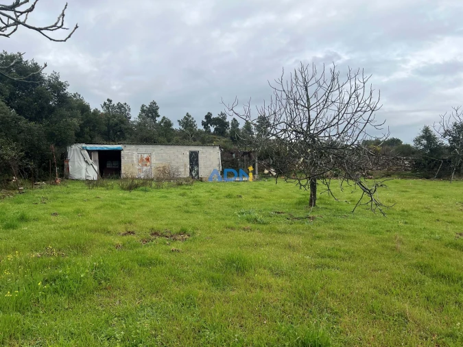Quinta para Venda em Castelo Branco Foto 21
