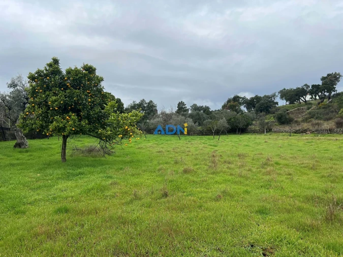 Quinta para Venda em Castelo Branco Foto 15