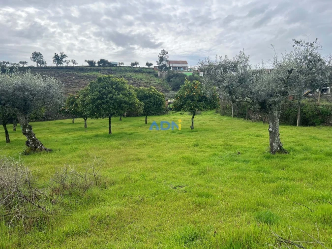 Quinta para Venda em Castelo Branco Foto 26