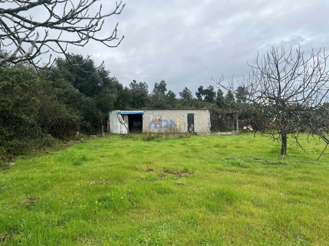 Quinta para Venda em Castelo Branco Foto 20