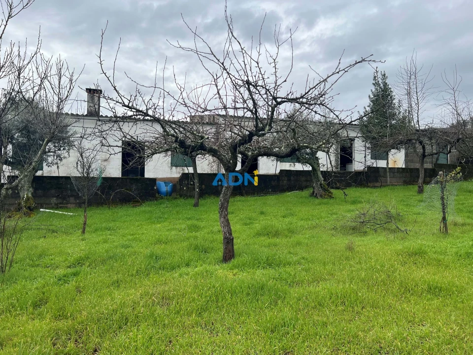 Quinta para Venda em Castelo Branco Foto 2
