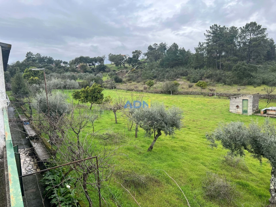 Quinta para Venda em Castelo Branco Foto 29