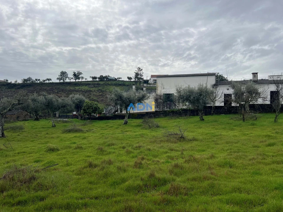 Quinta para Venda em Castelo Branco Foto 16