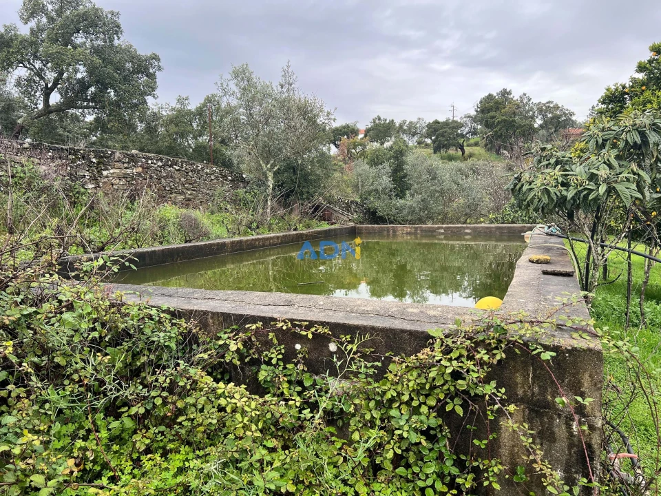 Quinta para Venda em Castelo Branco Foto 4