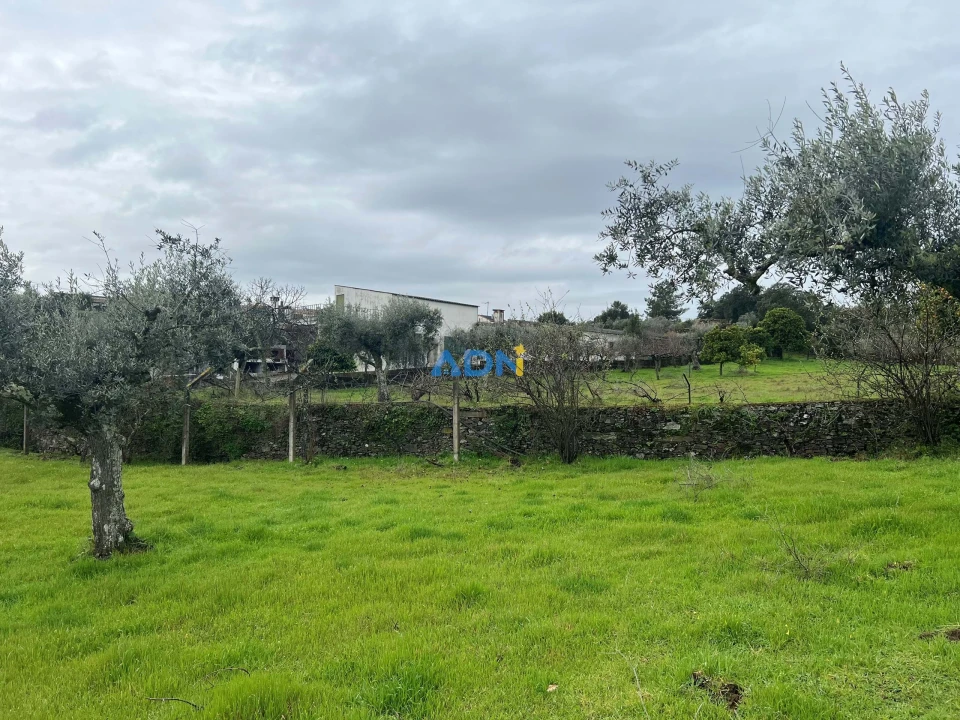 Quinta para Venda em Castelo Branco Foto 25