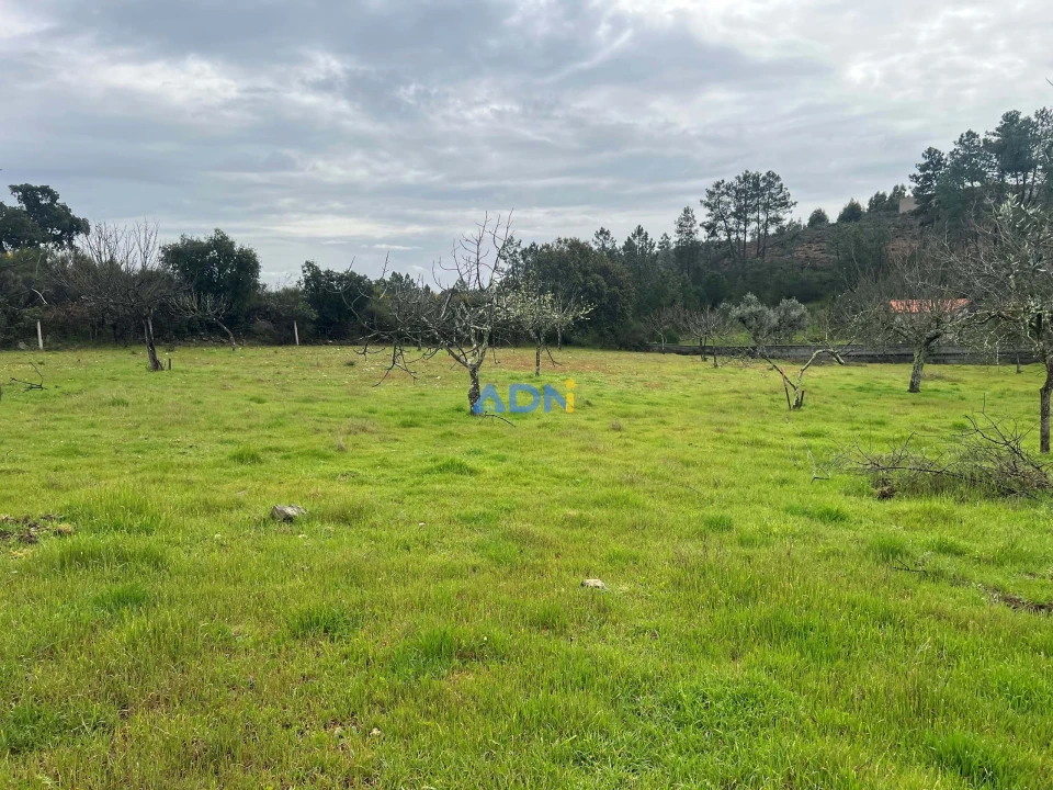 Quinta para Venda em Castelo Branco Foto 22