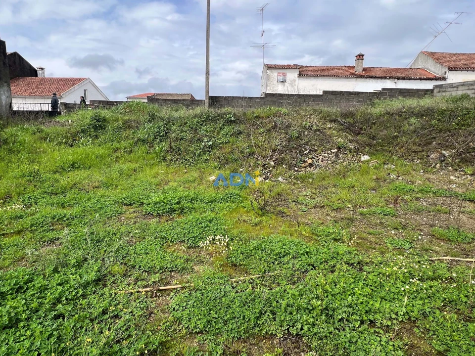 Quinta para Venda em Castelo Branco Foto 35