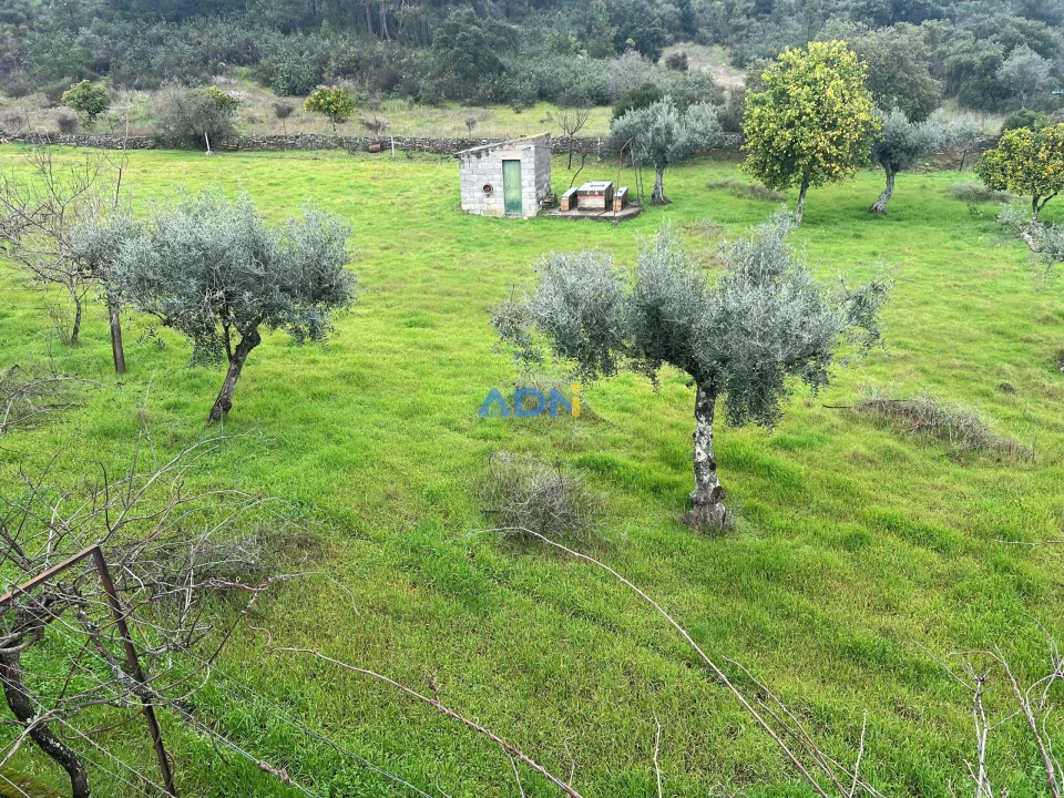 Quinta para Venda em Castelo Branco Foto 31