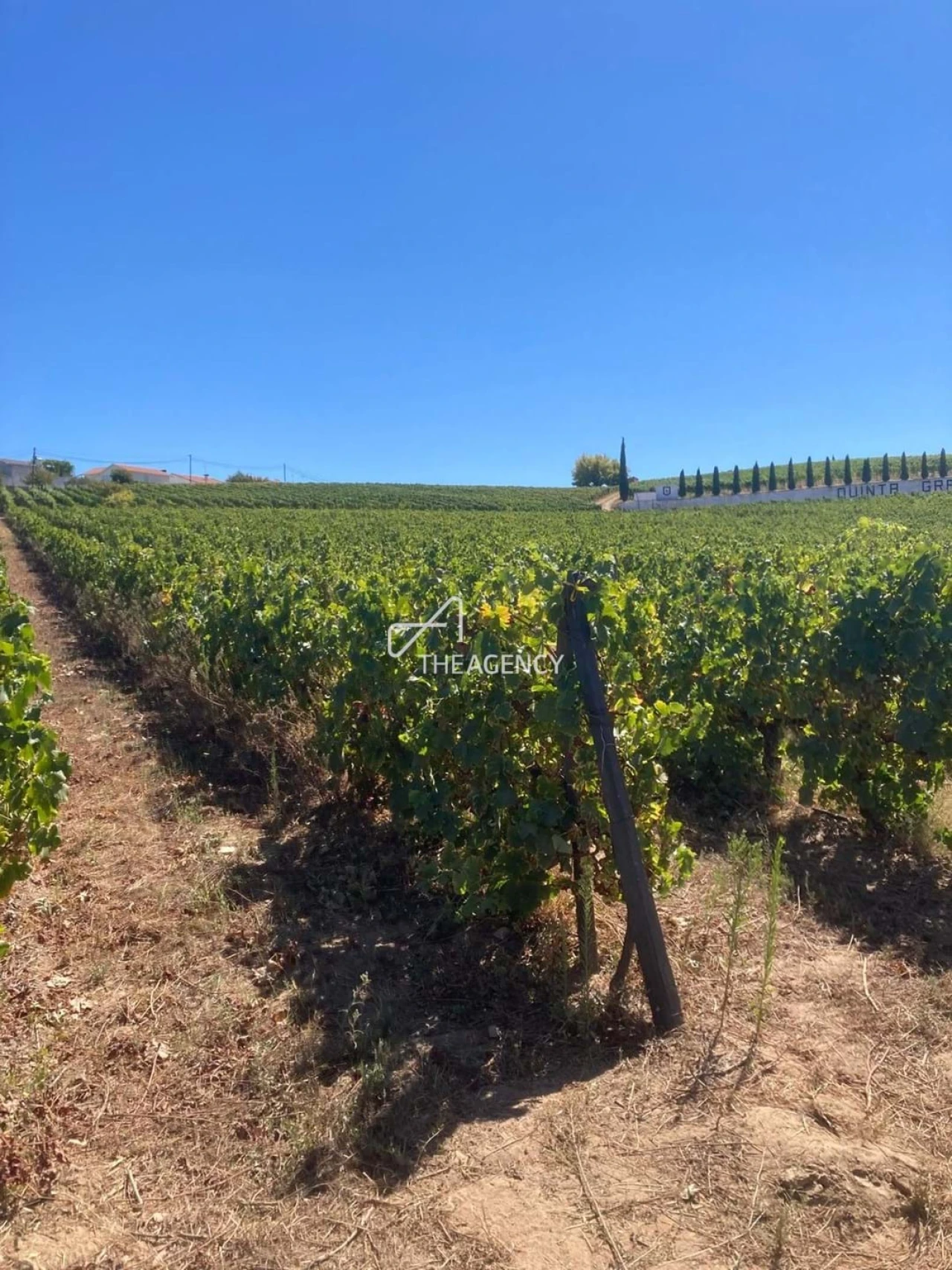 Terreno para Venda em Alijo Foto 21