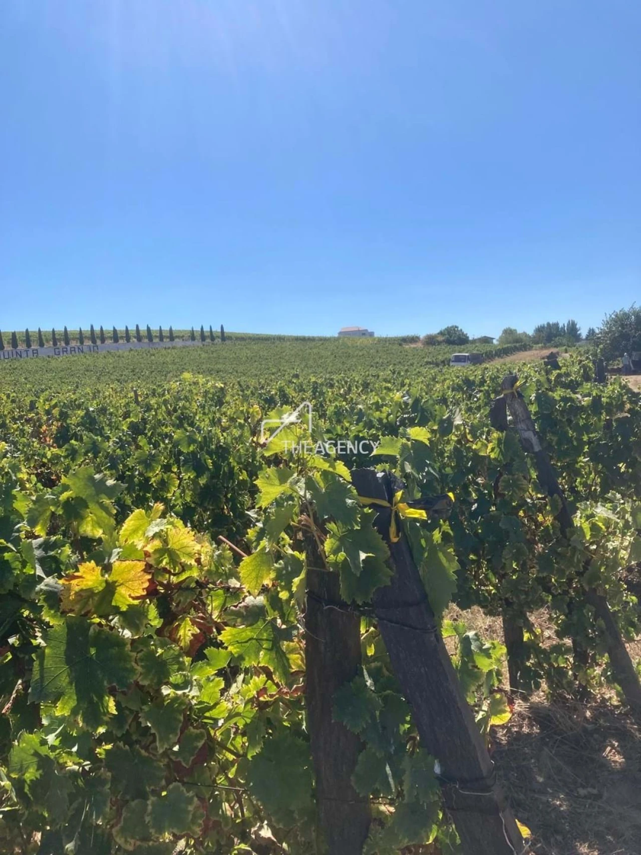 Terreno para Venda em Alijo Foto 27