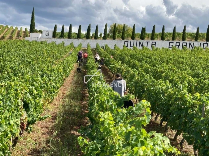 Terreno para Venda em Alijo Foto 2