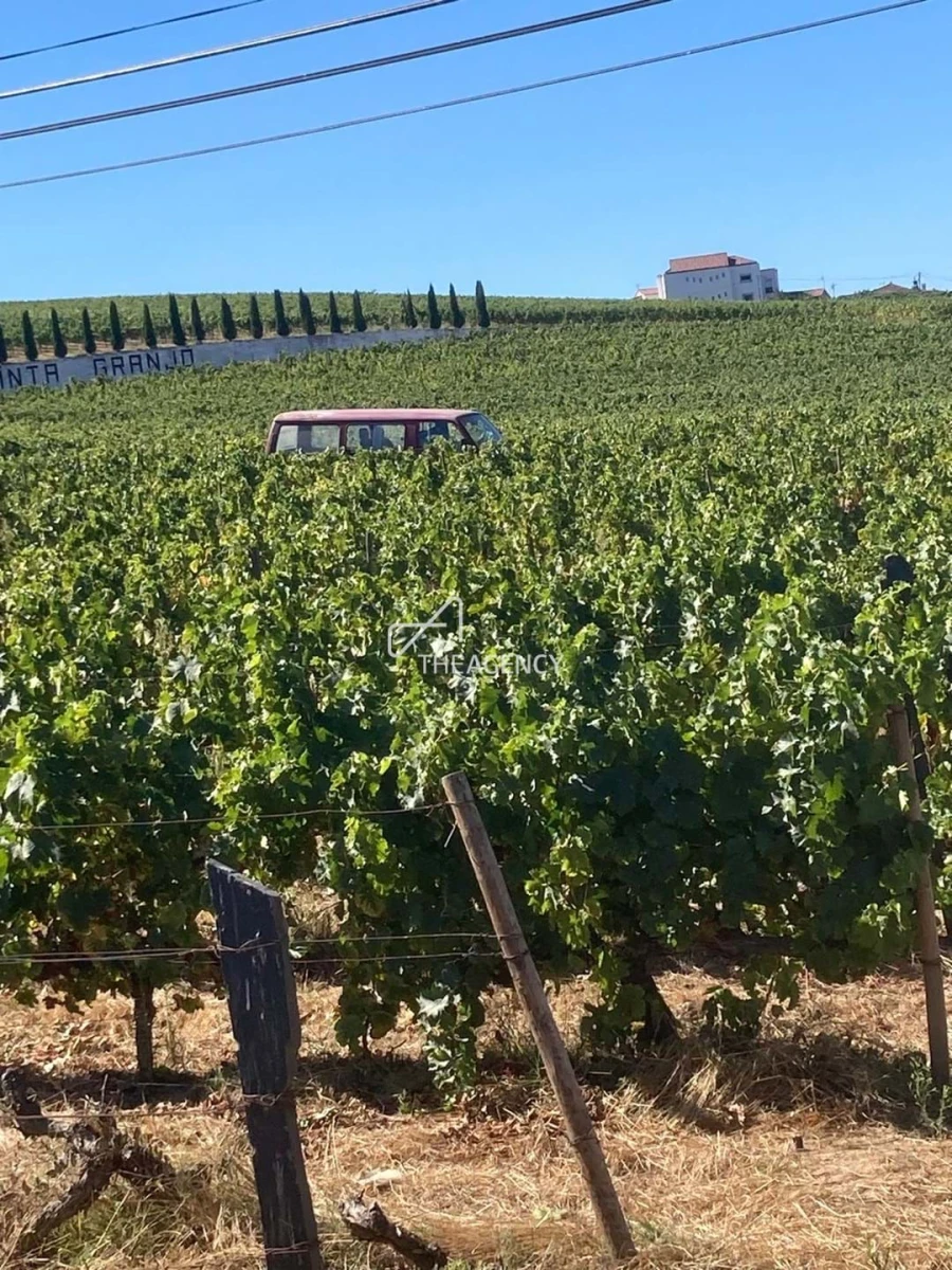 Terreno para Venda em Alijo Foto 22