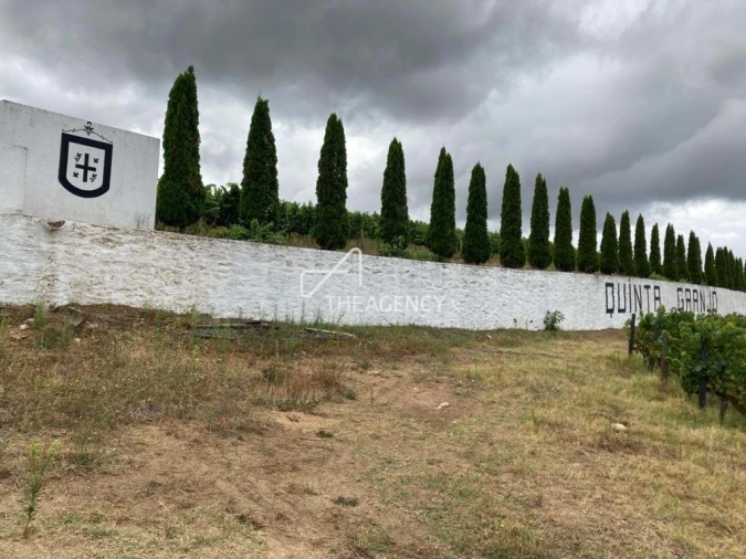 Terreno para Venda em Alijo Foto 4