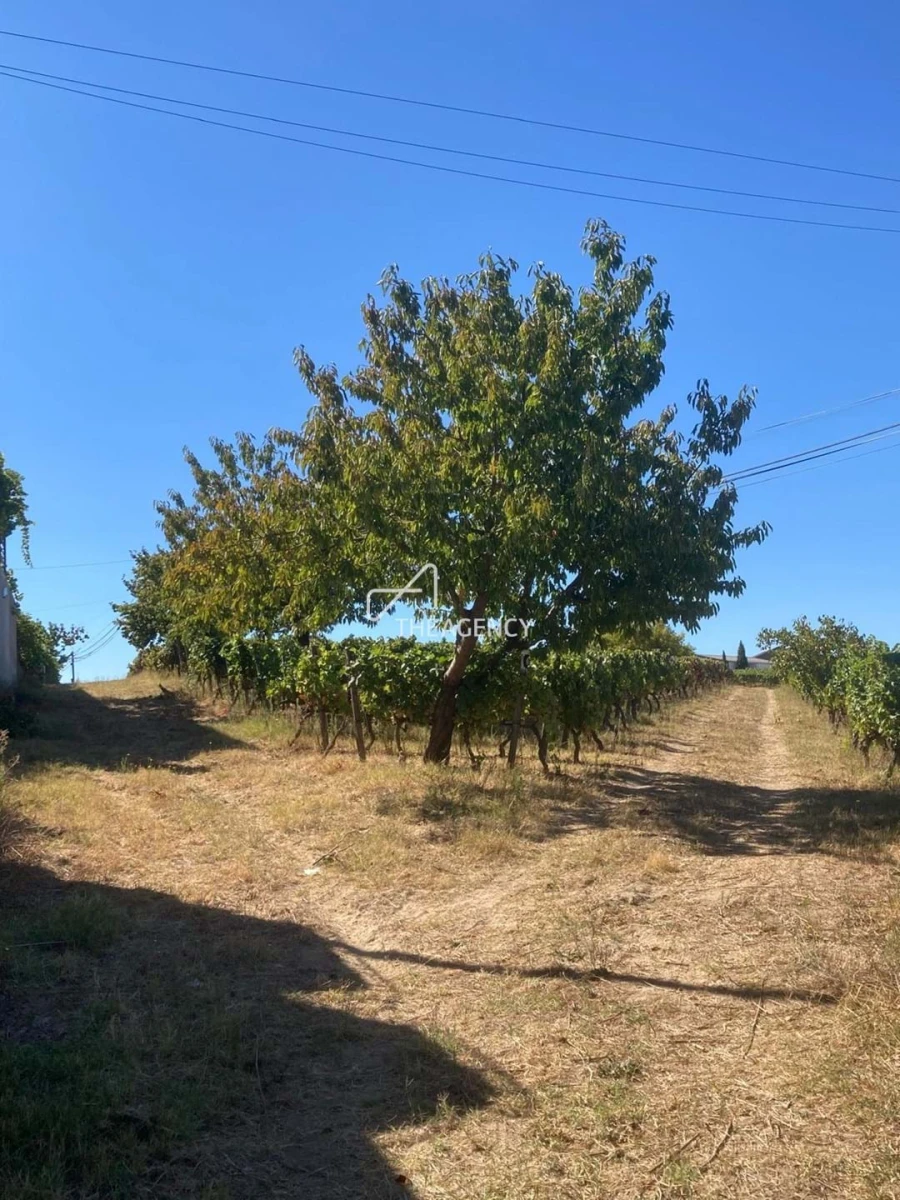 Terreno para Venda em Alijo Foto 13