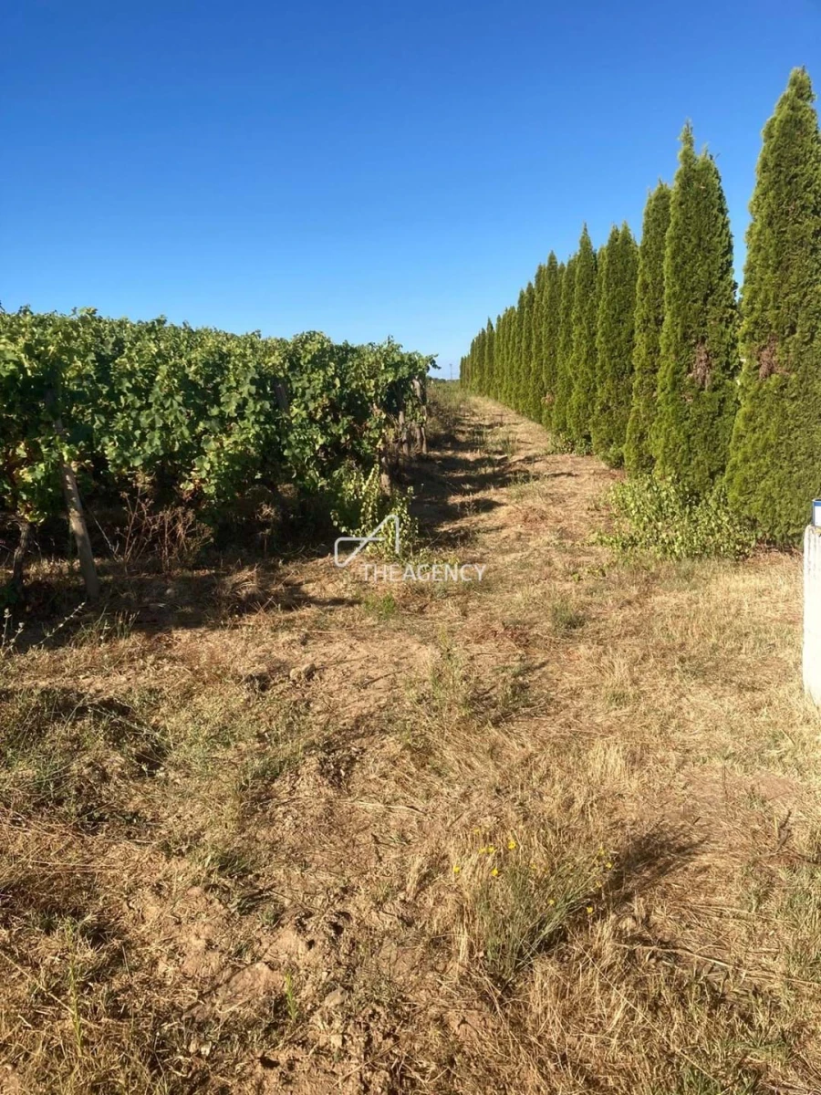 Terreno para Venda em Alijo Foto 9