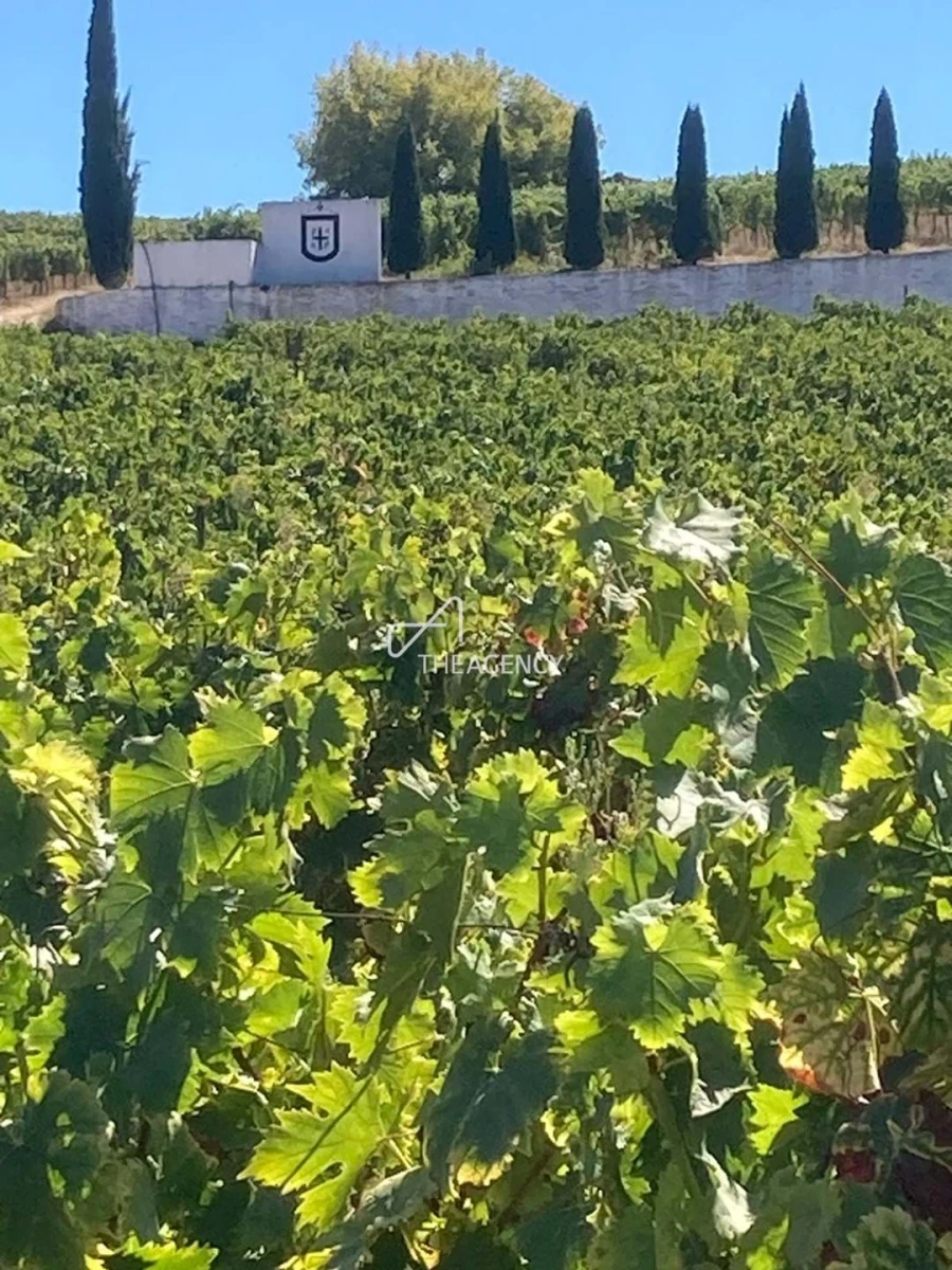 Terreno para Venda em Alijo Foto 23