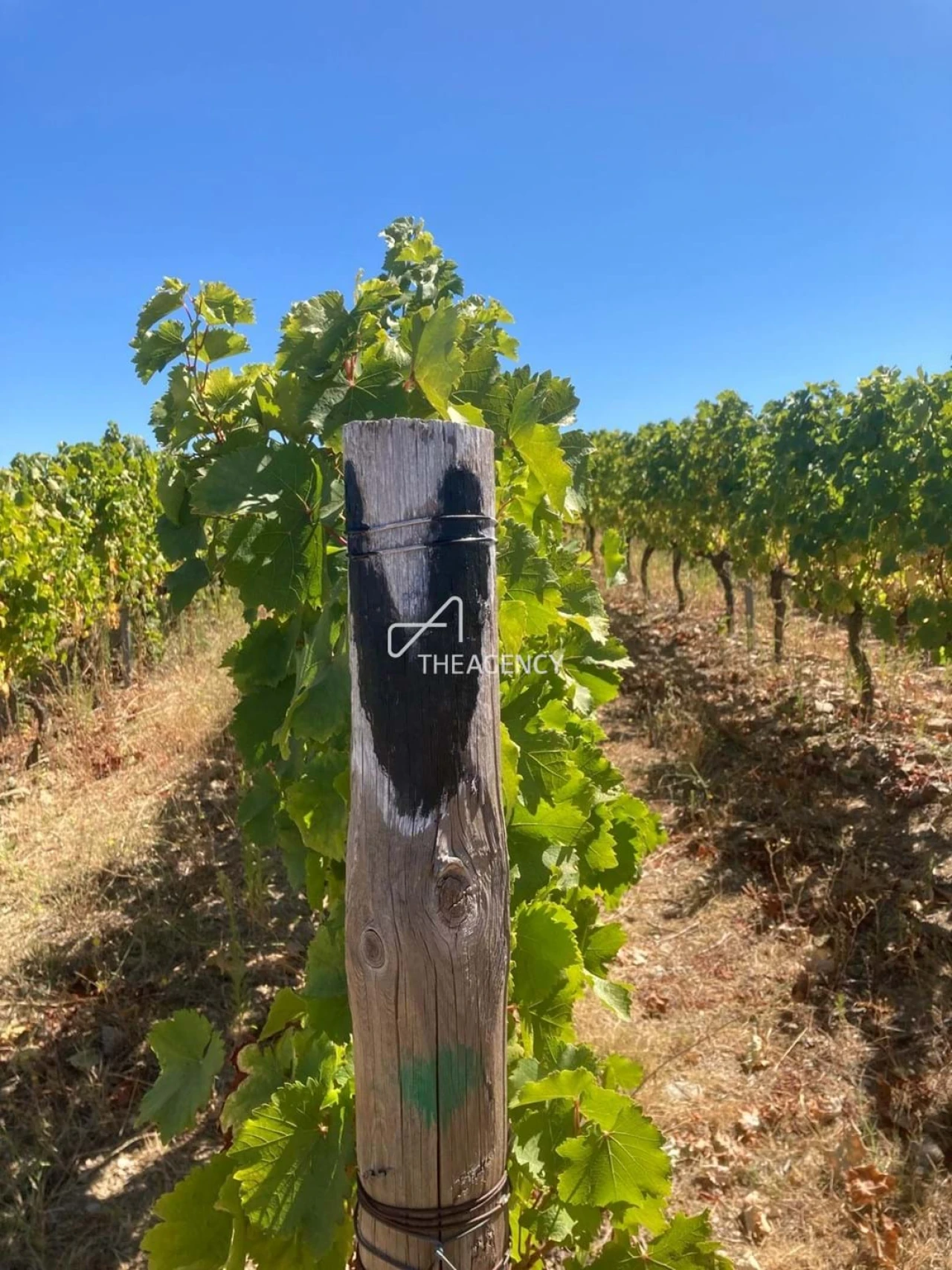 Terreno para Venda em Alijo Foto 12