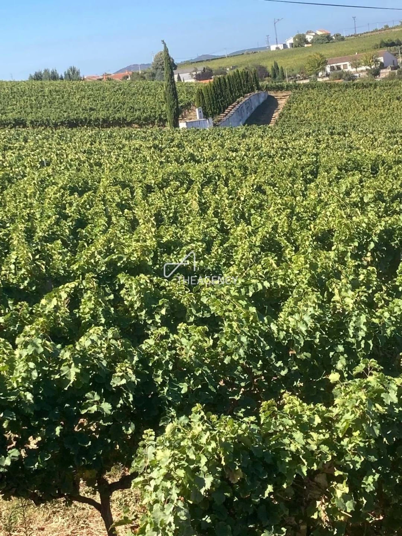 Terreno para Venda em Alijo Foto 25