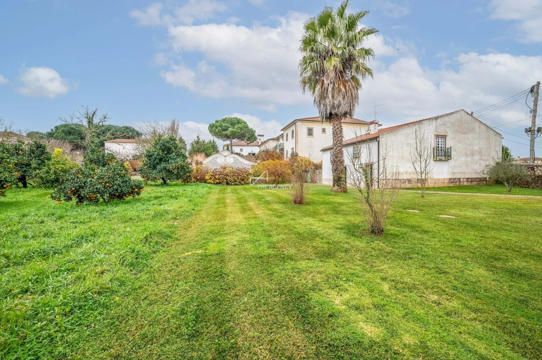 Quinta para Venda em Ferreira do Zezere Foto 6