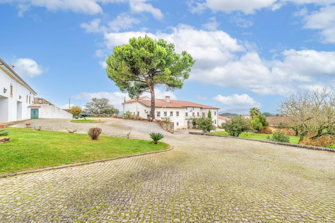 Quinta para Venda em Ferreira do Zezere Foto 4
