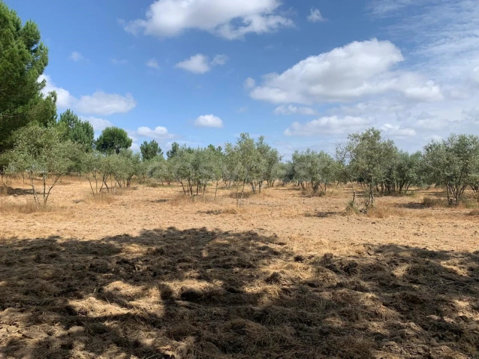 Terreno Agricola ou Rústico para Venda em Atalaia e Alto Estanqueiro-Jardia Foto 1