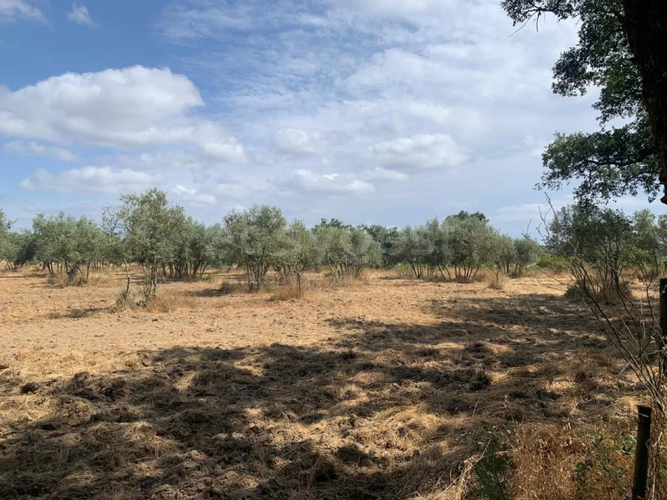 Terreno Agricola ou Rústico para Venda em Atalaia e Alto Estanqueiro-Jardia Foto 3