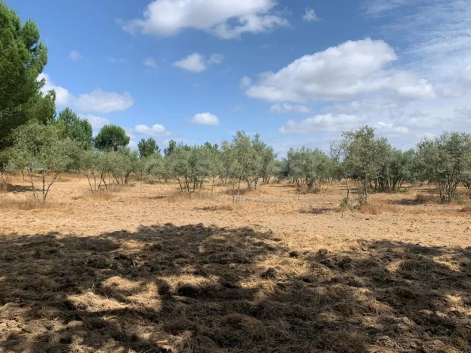 Terreno Agricola ou Rústico para Venda em Atalaia e Alto Estanqueiro-Jardia