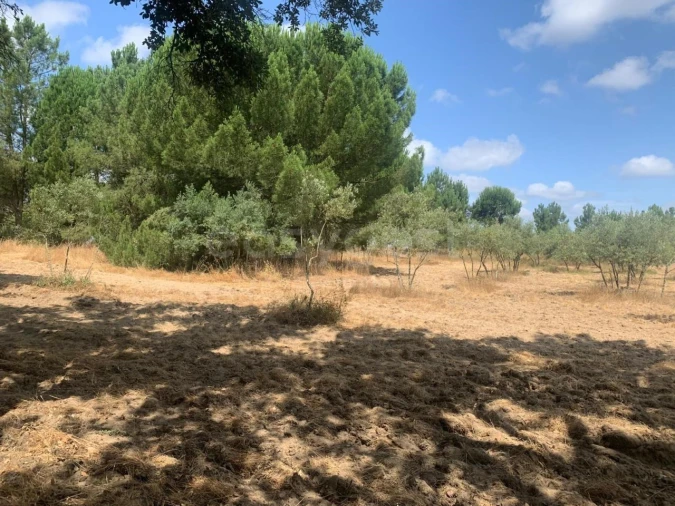 Terreno Agricola ou Rústico para Venda em Atalaia e Alto Estanqueiro-Jardia Foto 2