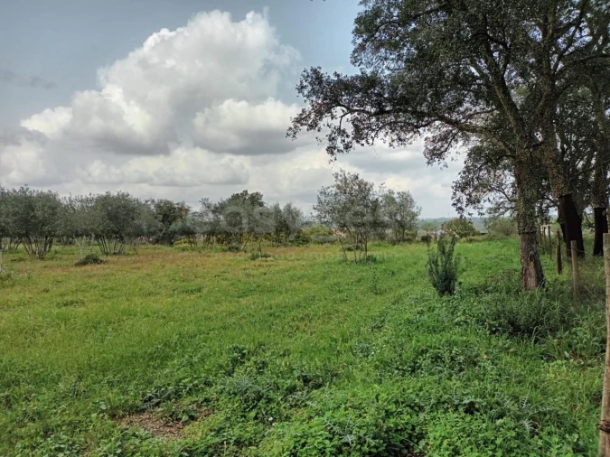 Terreno Agricola ou Rústico para Venda em Atalaia e Alto Estanqueiro-Jardia Foto 4