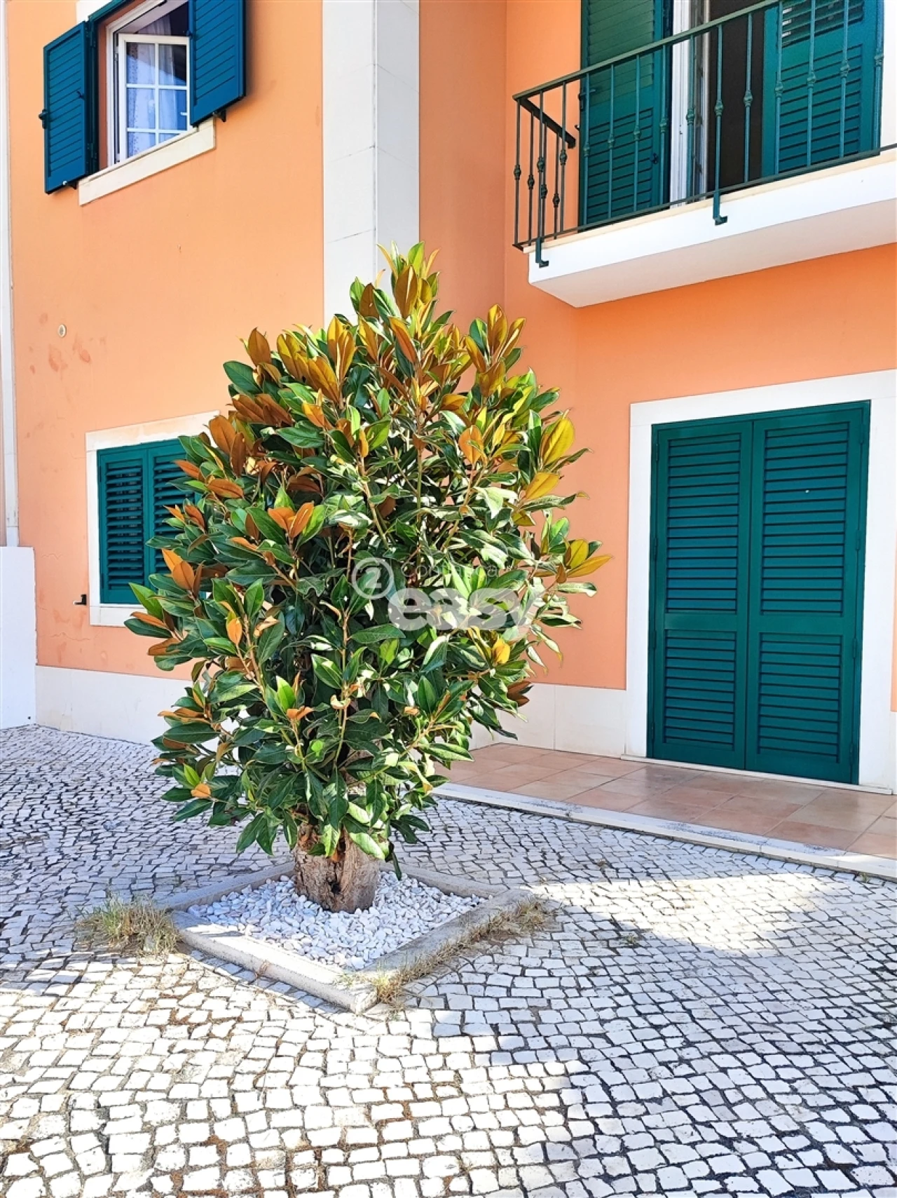 Moradia T5 para Venda em Almeirim Foto 123