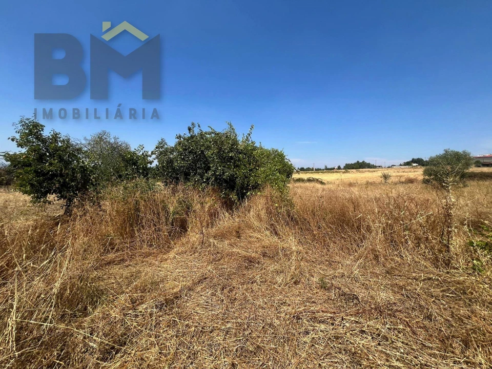 Terreno Agricola ou Rústico para Venda em Salgueiro do Campo Foto 5