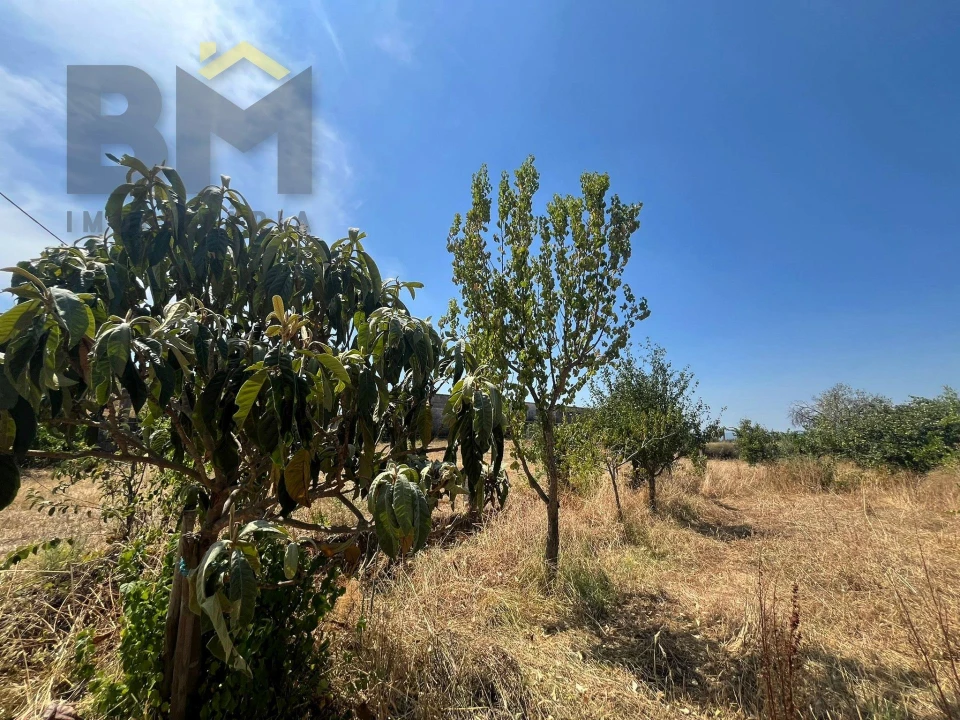 Terreno Agricola ou Rústico para Venda em Salgueiro do Campo Foto 4