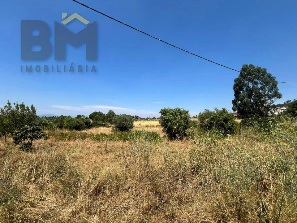 Terreno Agricola ou Rústico para Venda em Salgueiro do Campo Foto 9