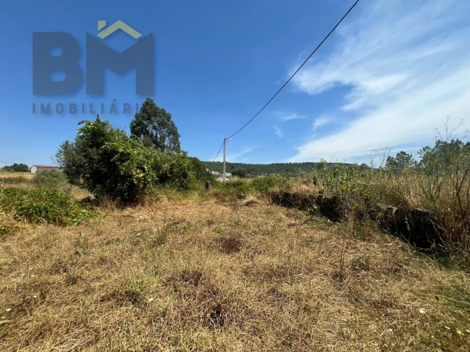 Terreno Agricola ou Rústico para Venda em Salgueiro do Campo Foto 6