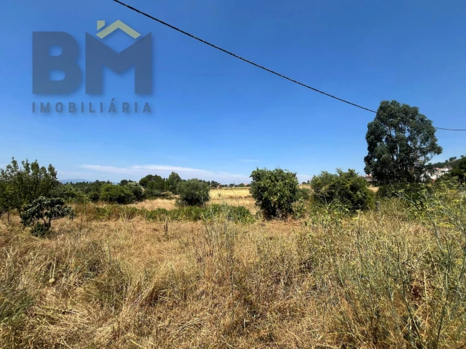Terreno Agricola ou Rústico para Venda em Salgueiro do Campo Foto 9
