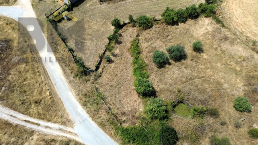 Terreno Agricola ou Rústico para Venda em Salgueiro do Campo Foto 2