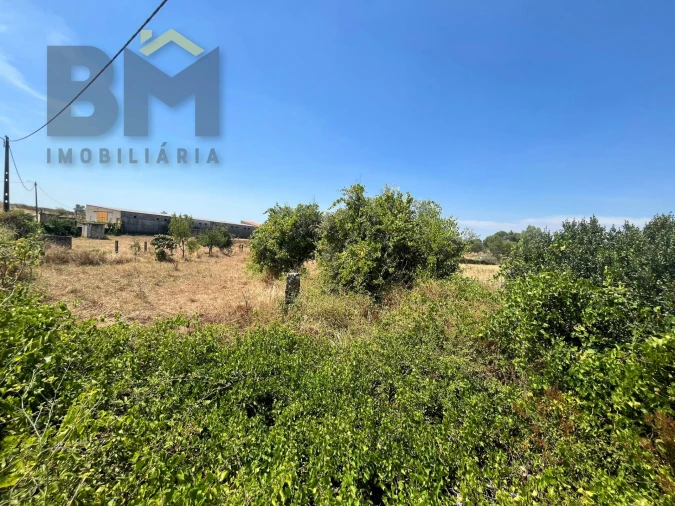 Terreno Agricola ou Rústico para Venda em Salgueiro do Campo Foto 7