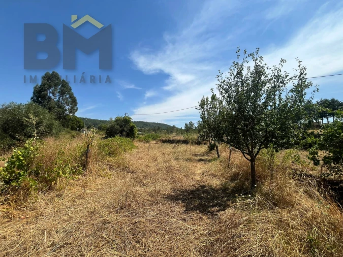 Terreno Agricola ou Rústico para Venda em Salgueiro do Campo Foto 8
