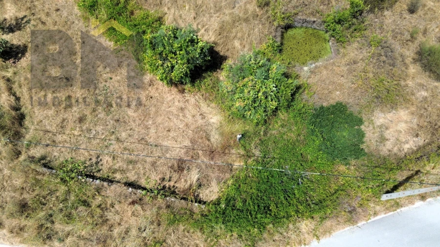 Terreno Agricola ou Rústico para Venda em Salgueiro do Campo Foto 3