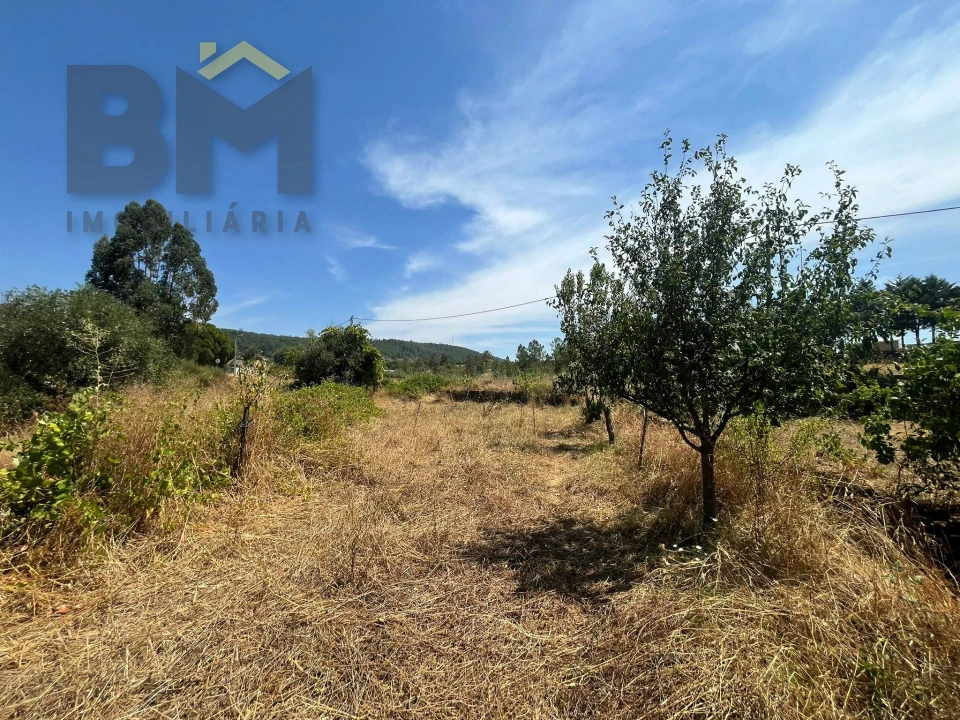 Terreno Agricola ou Rústico para Venda em Salgueiro do Campo Foto 8