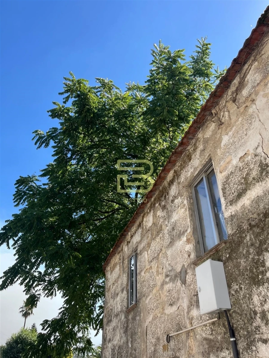 Moradia T3 para Venda em Vandoma Foto 3