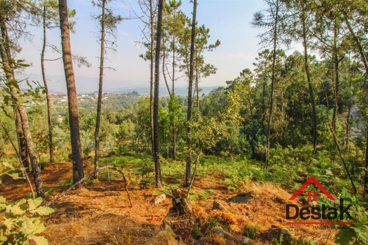 Terreno para Venda em São Miguel do Mato Foto 9