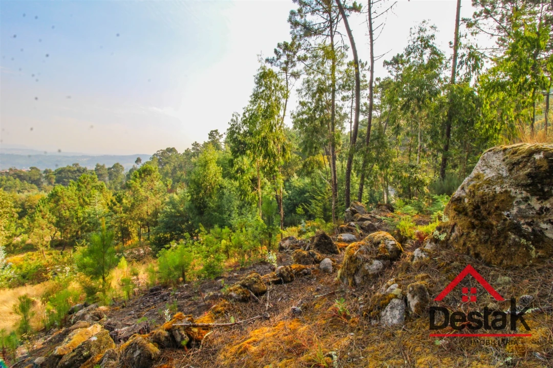 Terreno para Venda em São Miguel do Mato Foto 10
