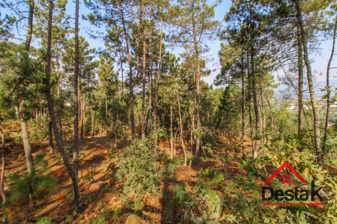 Terreno para Venda em São Miguel do Mato Foto 8