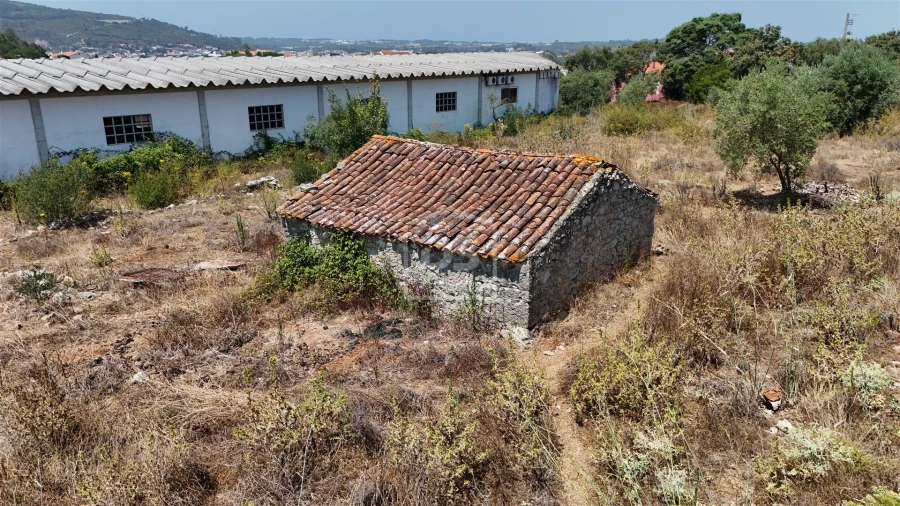 Terreno Misto para Venda em Porto de Mós - São João Baptista e São Pedro Foto 6