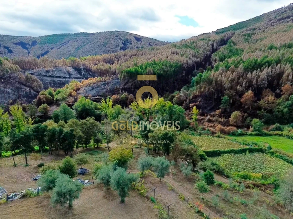 Terreno para Venda em Canelas e Espiunca Foto 9