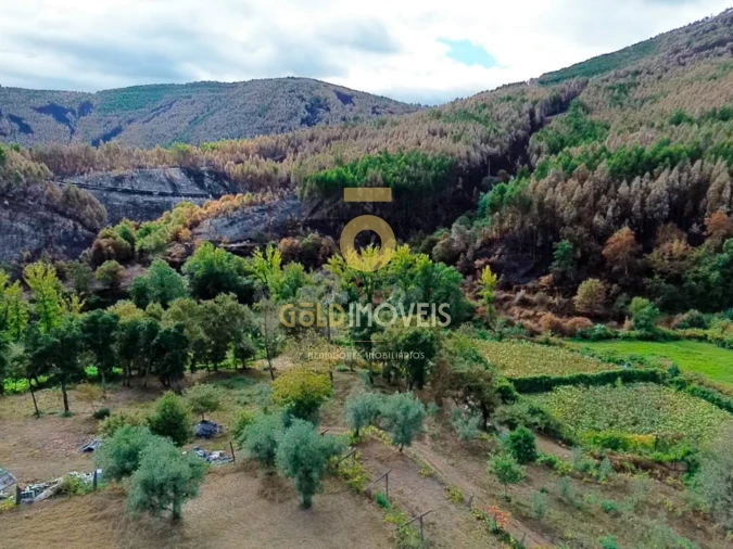 Terreno para Venda em Canelas e Espiunca Foto 14
