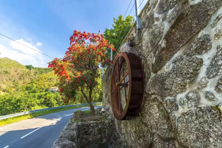 Moradia T0 para Venda em Parada do Bouro Foto 79